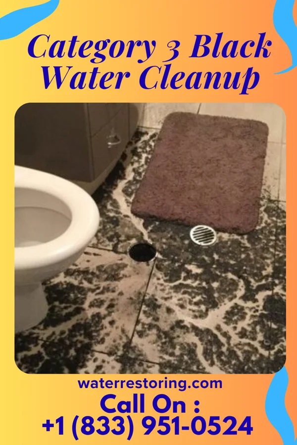 Category 3 Black Water Cleanup in Latrobe, PA