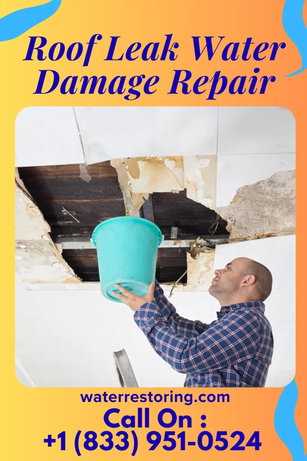 Roof Leak Water Damage Repair in Latrobe, PA