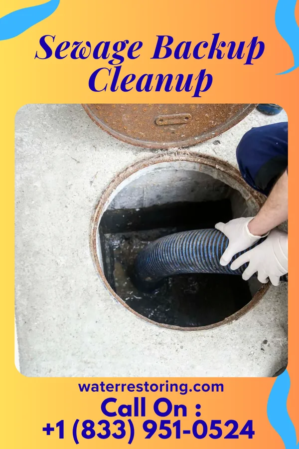 Sewage Backup Cleanup in Latrobe, PA