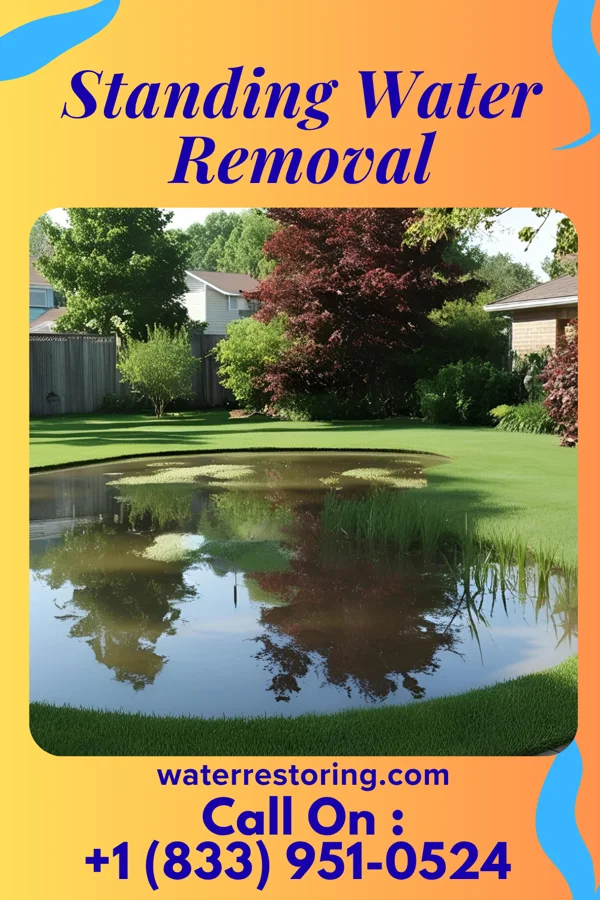 Standing Water Removal in Latrobe, PA